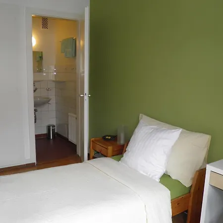 骑士酒店 酒店 Saint-George