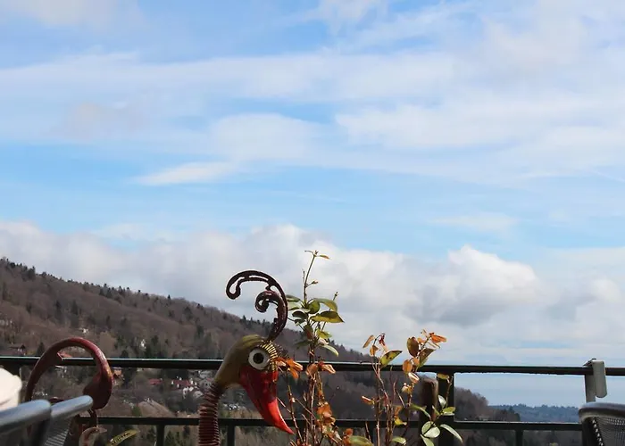 酒店 骑士酒店 Saint-George