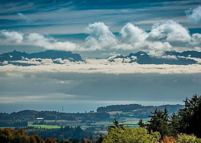 骑士酒店 Saint-George